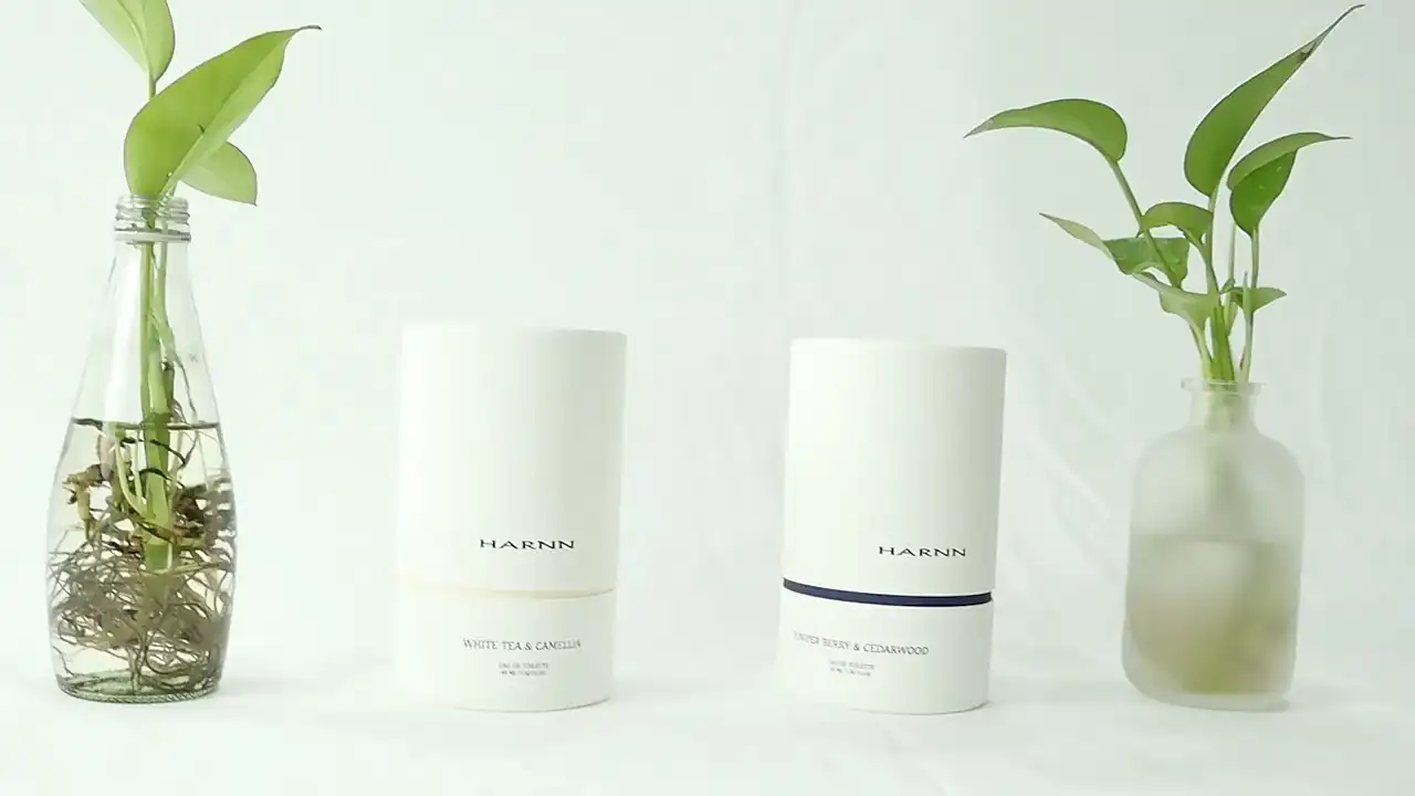 맞춤형 지속 가능성 에센스 앰플 포장 튜브 상자 화장품 페이스 세럼 실린더 향수 및 로션용 종이 튜브 1